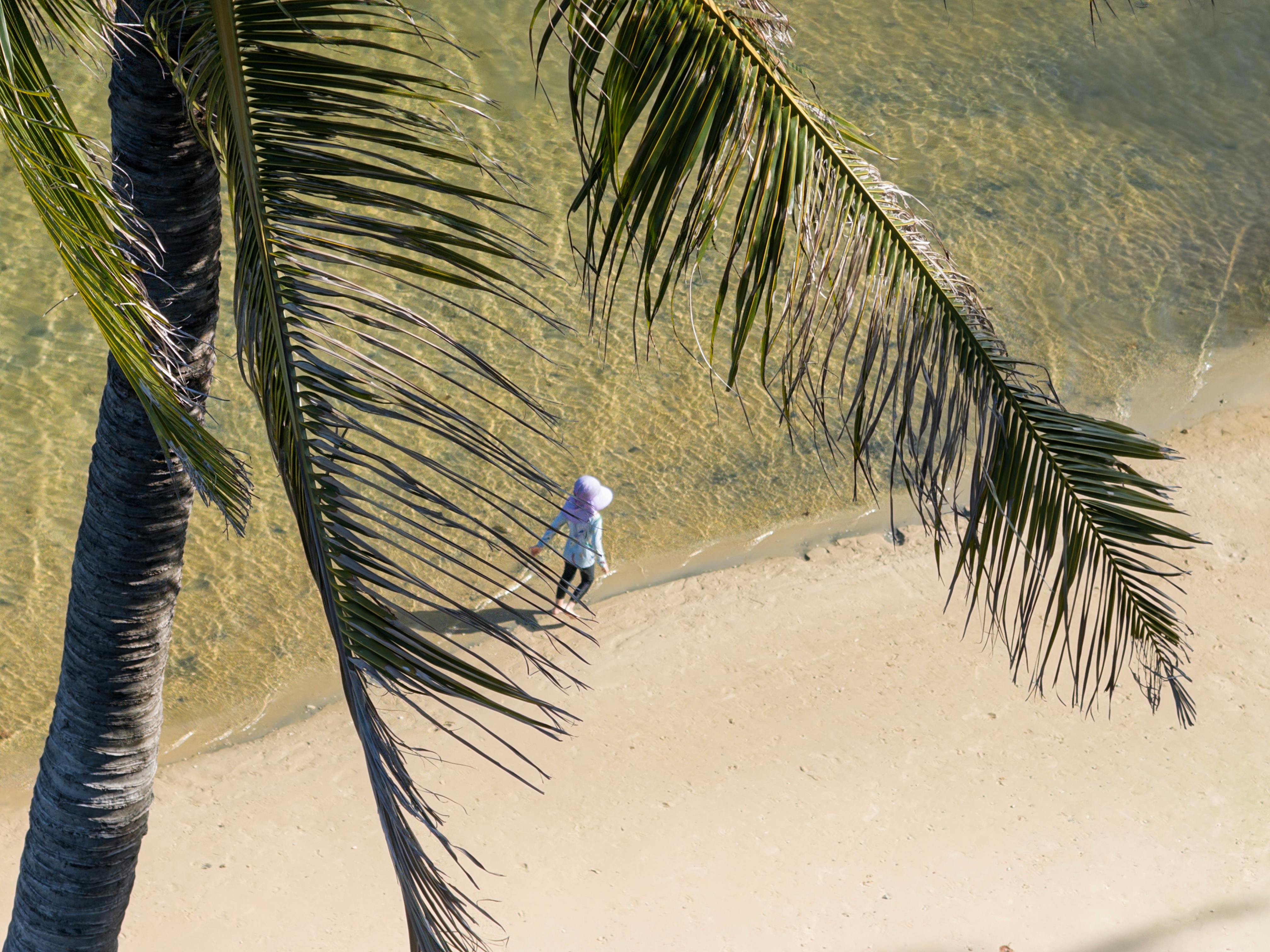 越南海滩的航拍镜头捕捉到一个人孤独地在棕榈树下沿着海岸漫步