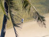 越南海滩的航拍镜头捕捉到一个人孤独地在棕榈树下沿着海岸漫步