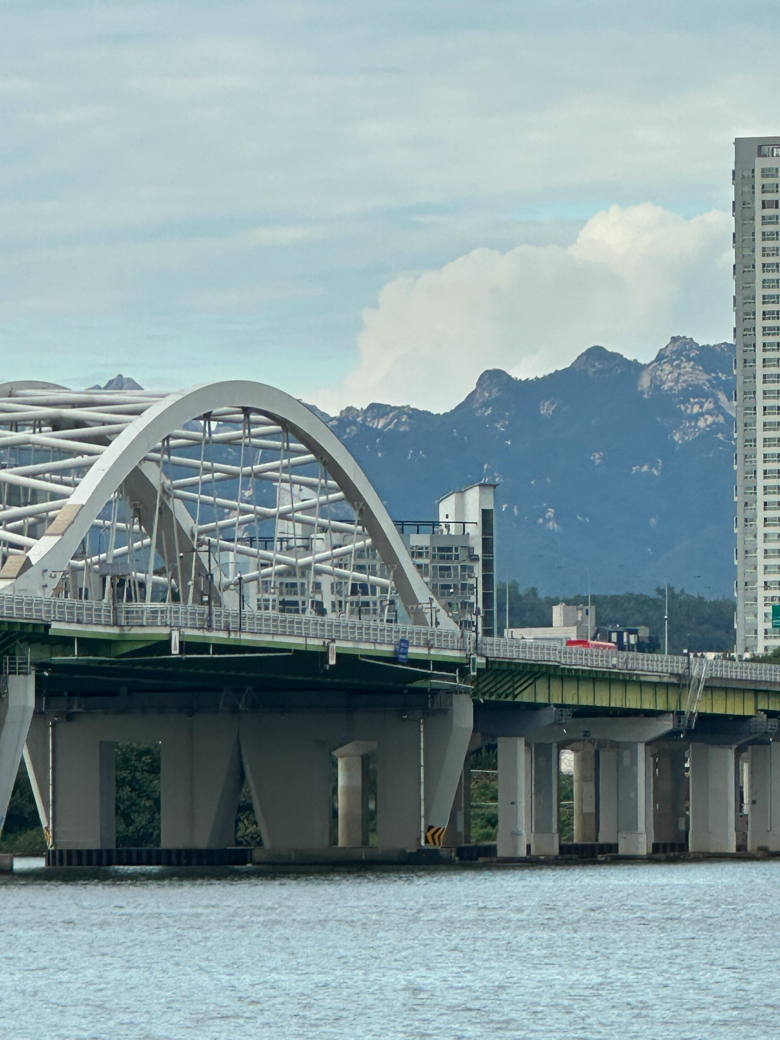 现代城市桥梁在风景秀丽的山区背景下，以高层建筑为特色