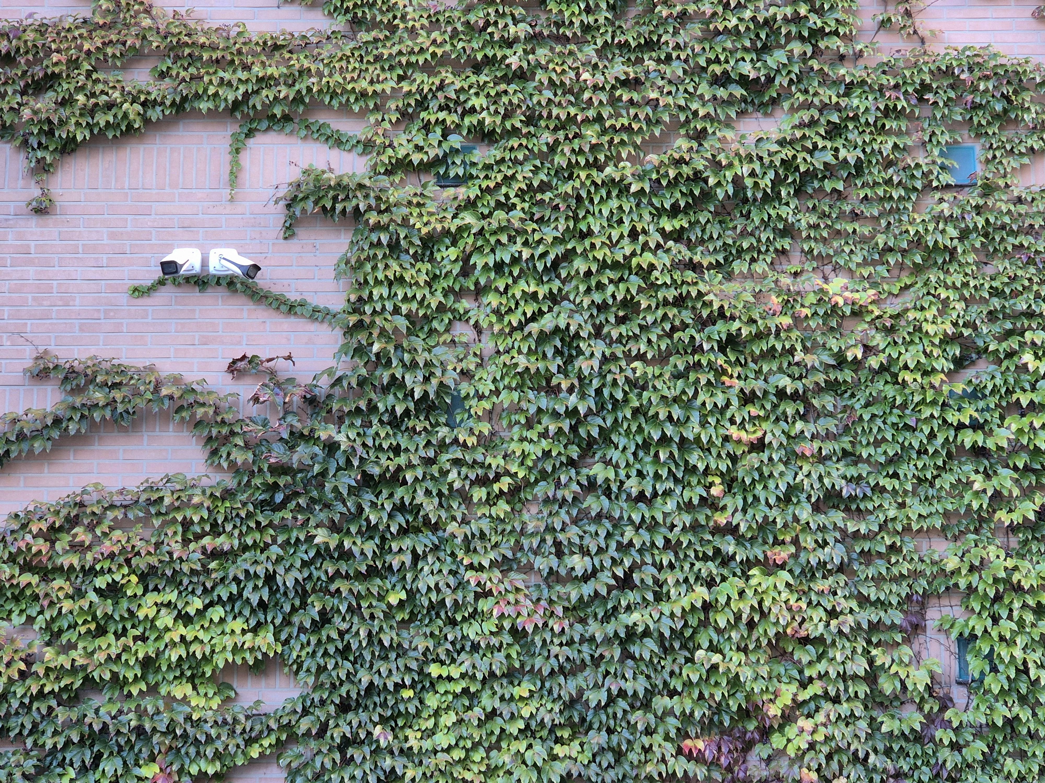 滴普科技成功通過聆訊，2025年上半年營收大增118.4%