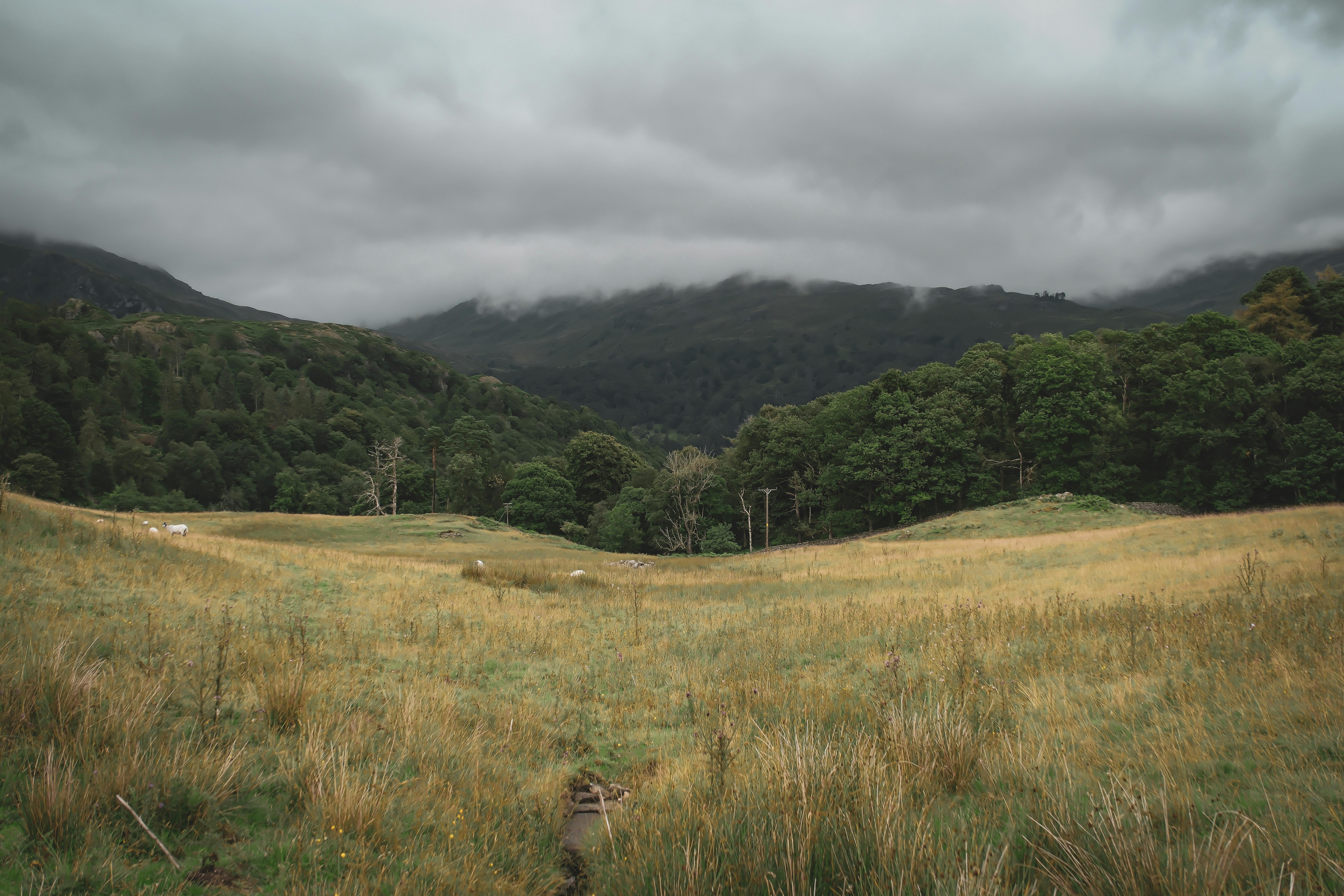 在英格兰郁郁葱葱的绿色景观中，捕捉戏剧性的天空