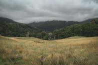 在英格兰郁郁葱葱的绿色景观中，捕捉戏剧性的天空