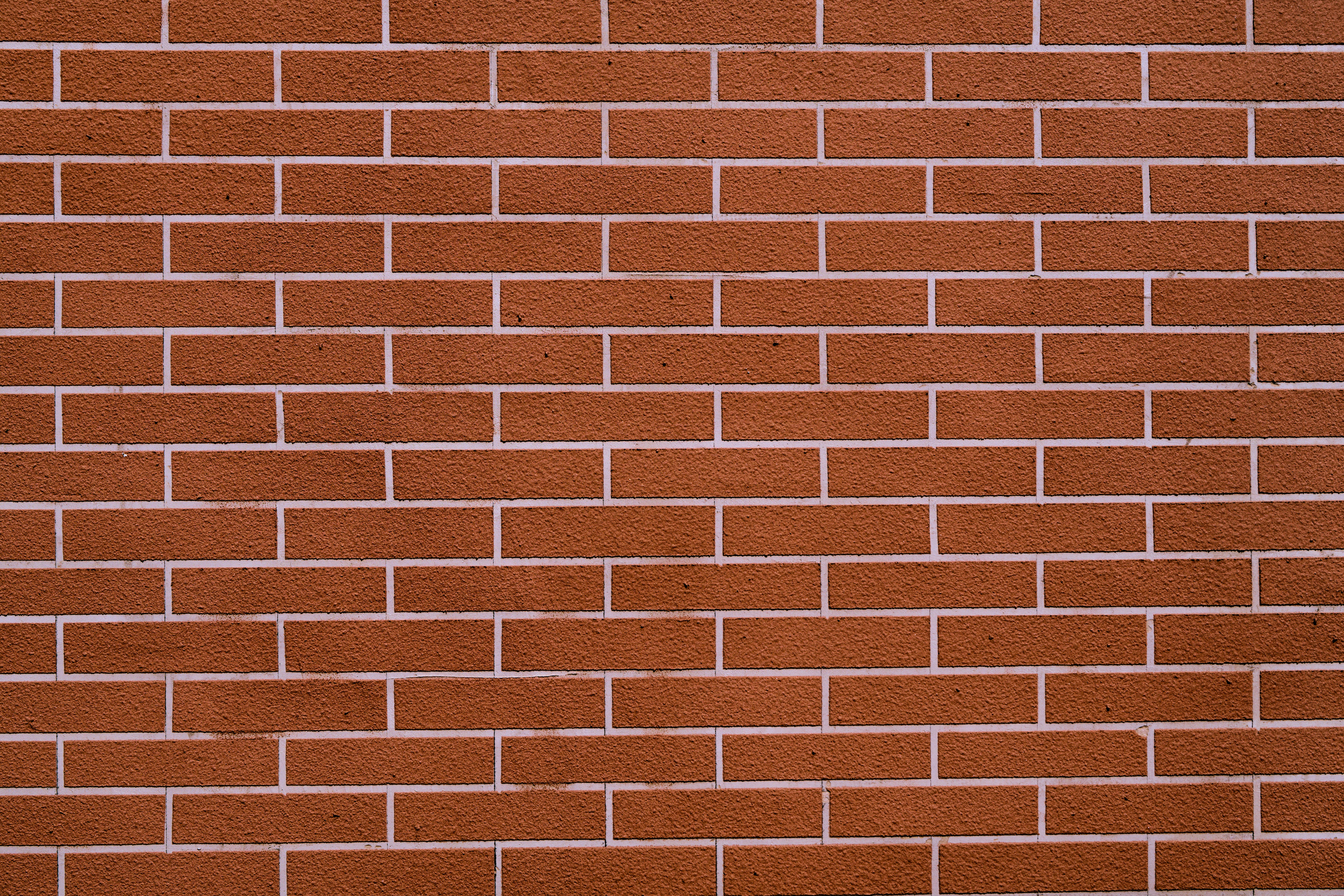 무료 bricklayer, 강한, 강한 소재의 무료 스톡 사진