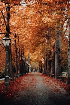 A serene and colorful autumn walkway lined with vibrant fall foliage in Graz, Austria.
