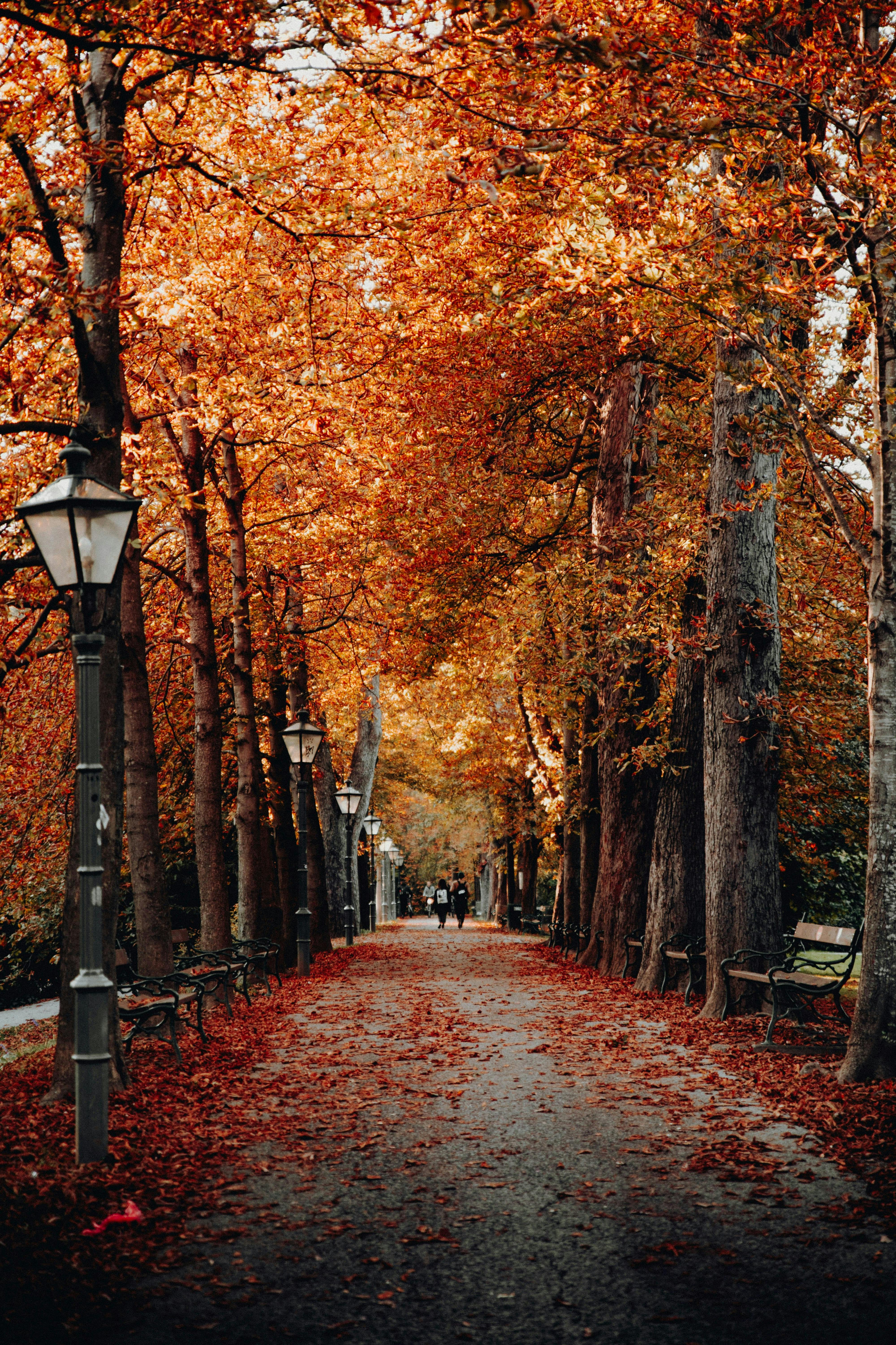 Enchanting Autumn Pathway in Graz, Austria · Free Stock Photo
