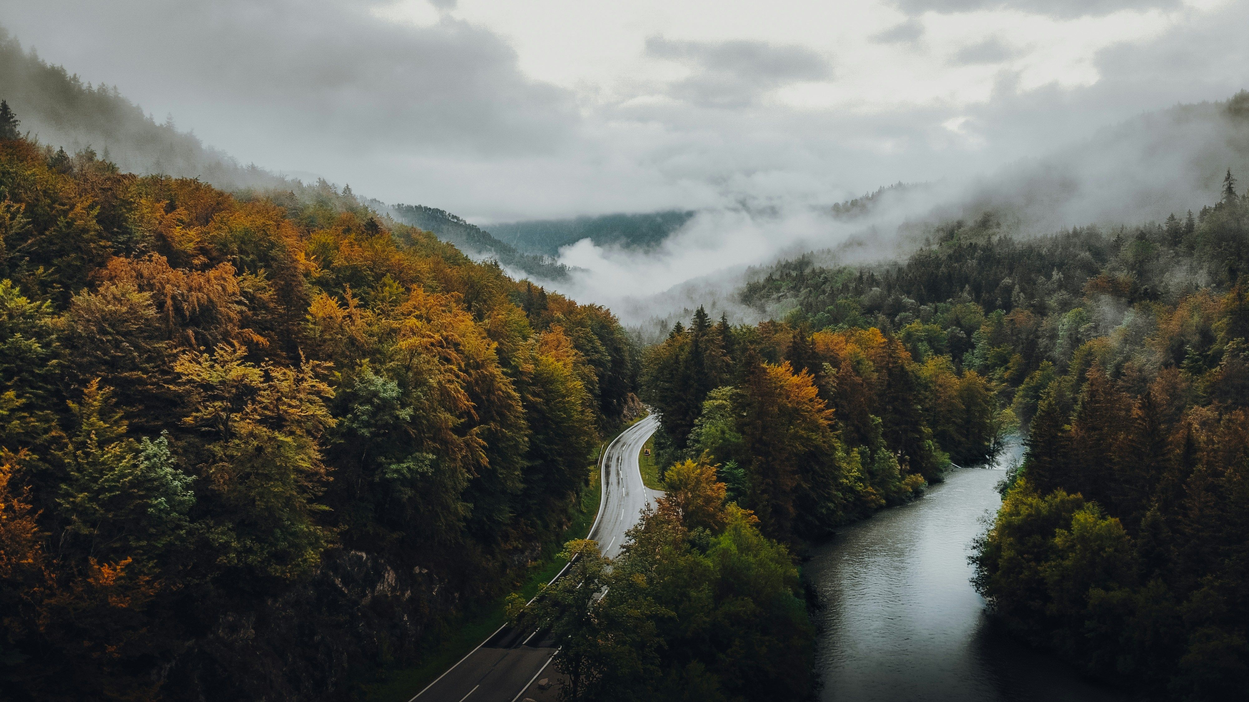 Misty Autumn Forest with Winding River and Road · Free Stock Photo
