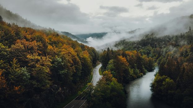 Aerial view of misty autumn forest with a winding river and road, creating a serene landscape.