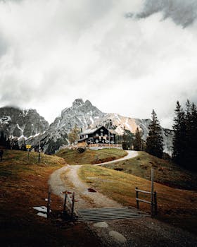 您的请求中没有提供具体的句子，所以我无法对其进行优化