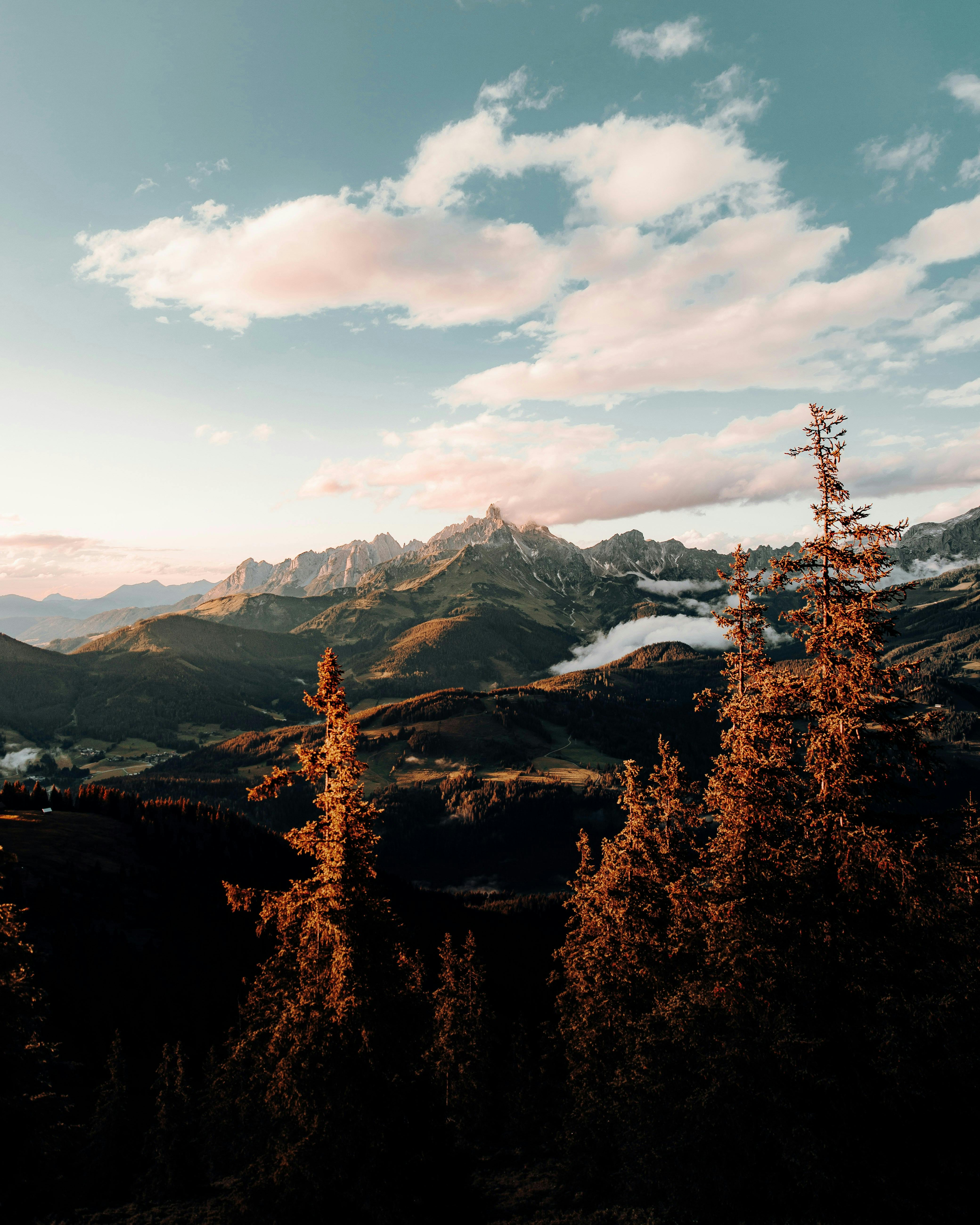 好的，我理解了您的需求