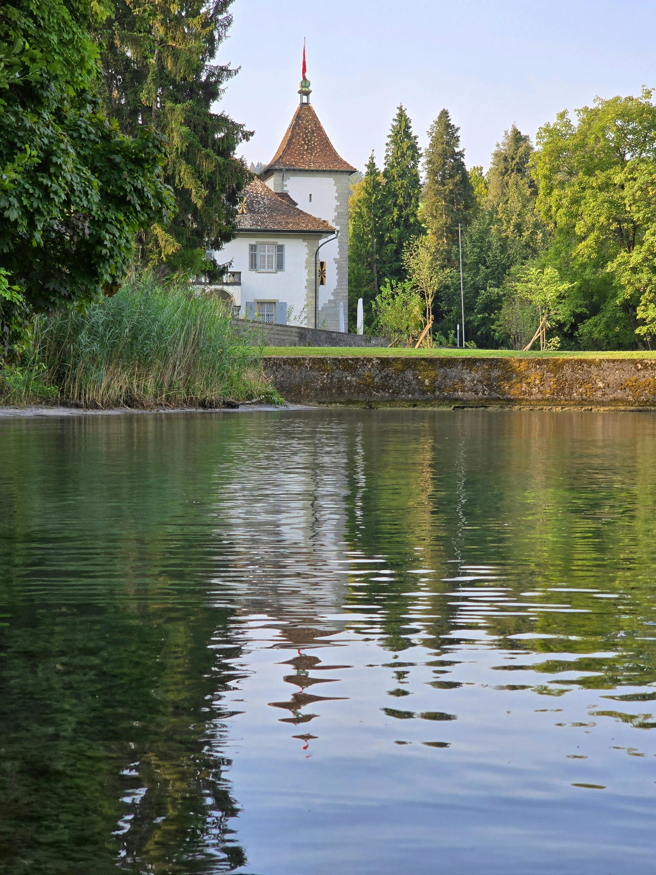 好的，请提供您需要优化的句子