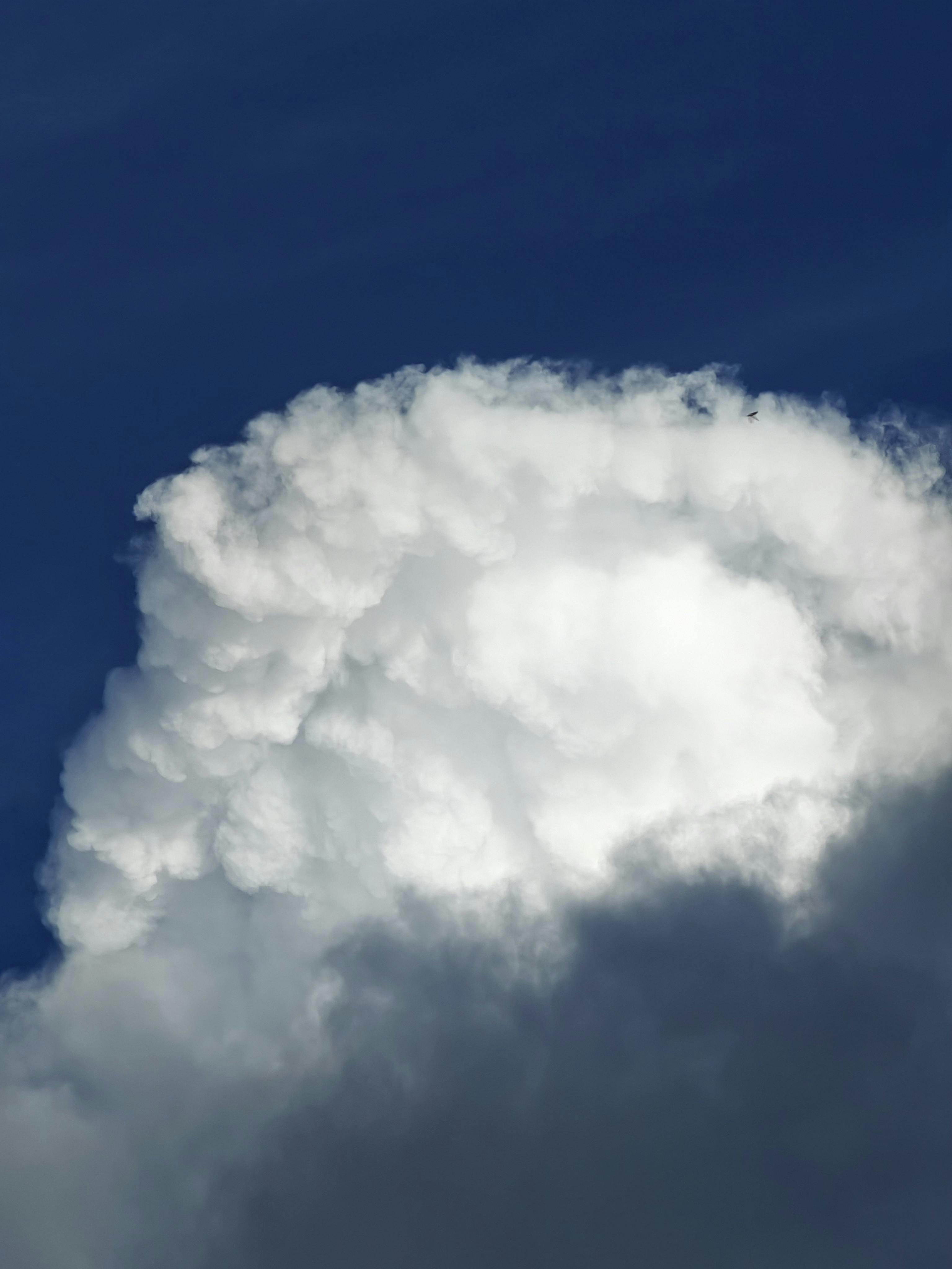 好的，我会根据您的要求进行优化