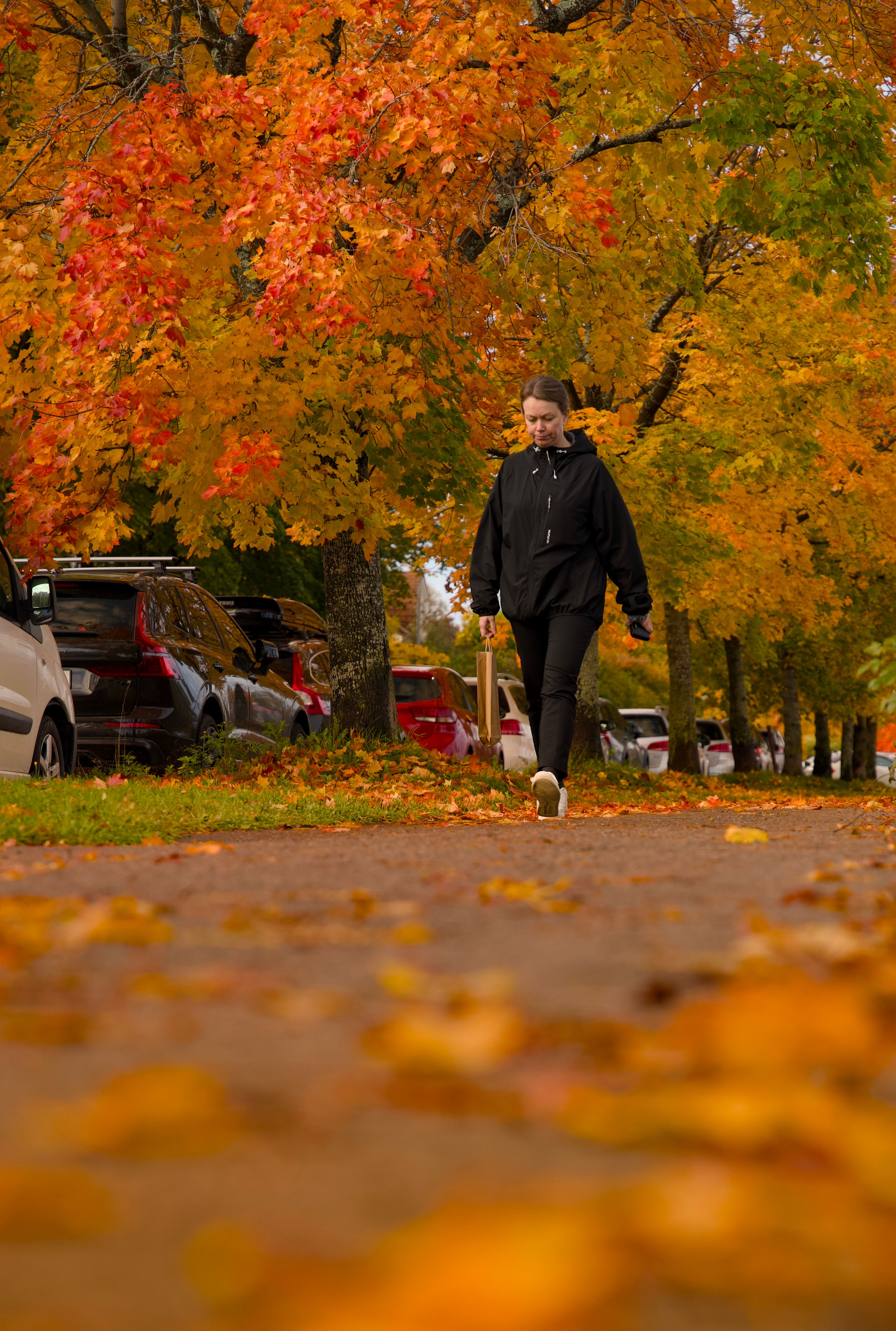 Woman Strolling in Vibrant Autumn Park in Sweden · Free Stock Photo
