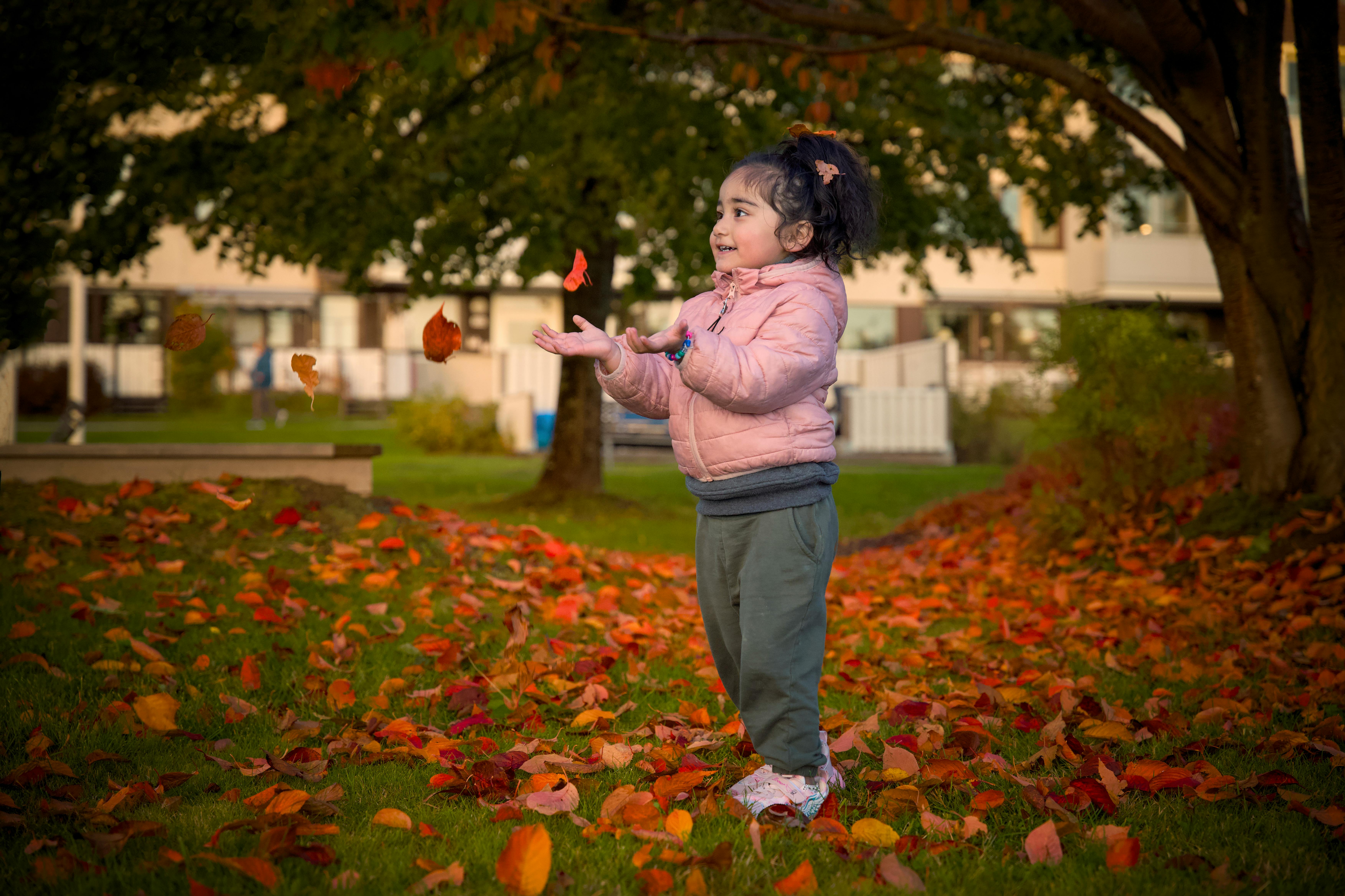 國際：鏟子超人感動全球 逾4000臺僑雙十返台促團結