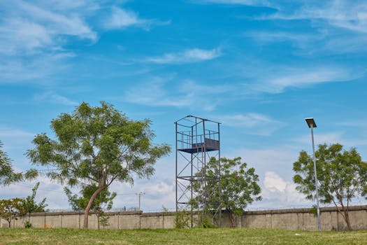 好的，请提供您需要我优化的句子