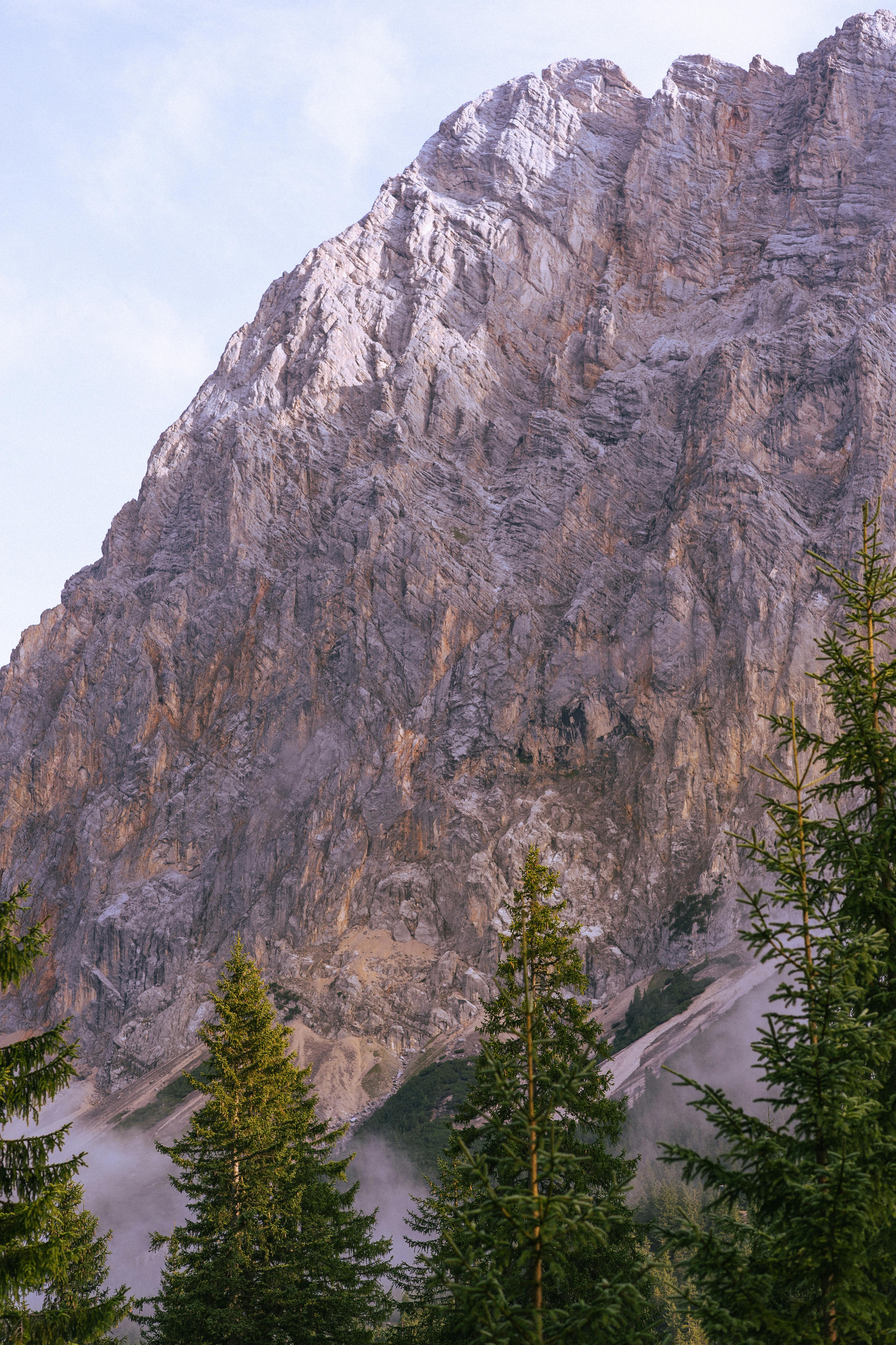 令人印象深刻的落基山景观与充满活力的绿色松树在前景