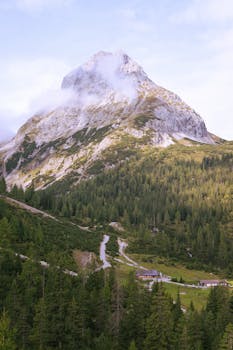 在郁郁葱葱的高山山谷中，云雾笼罩的山峰展现出壮丽的景色