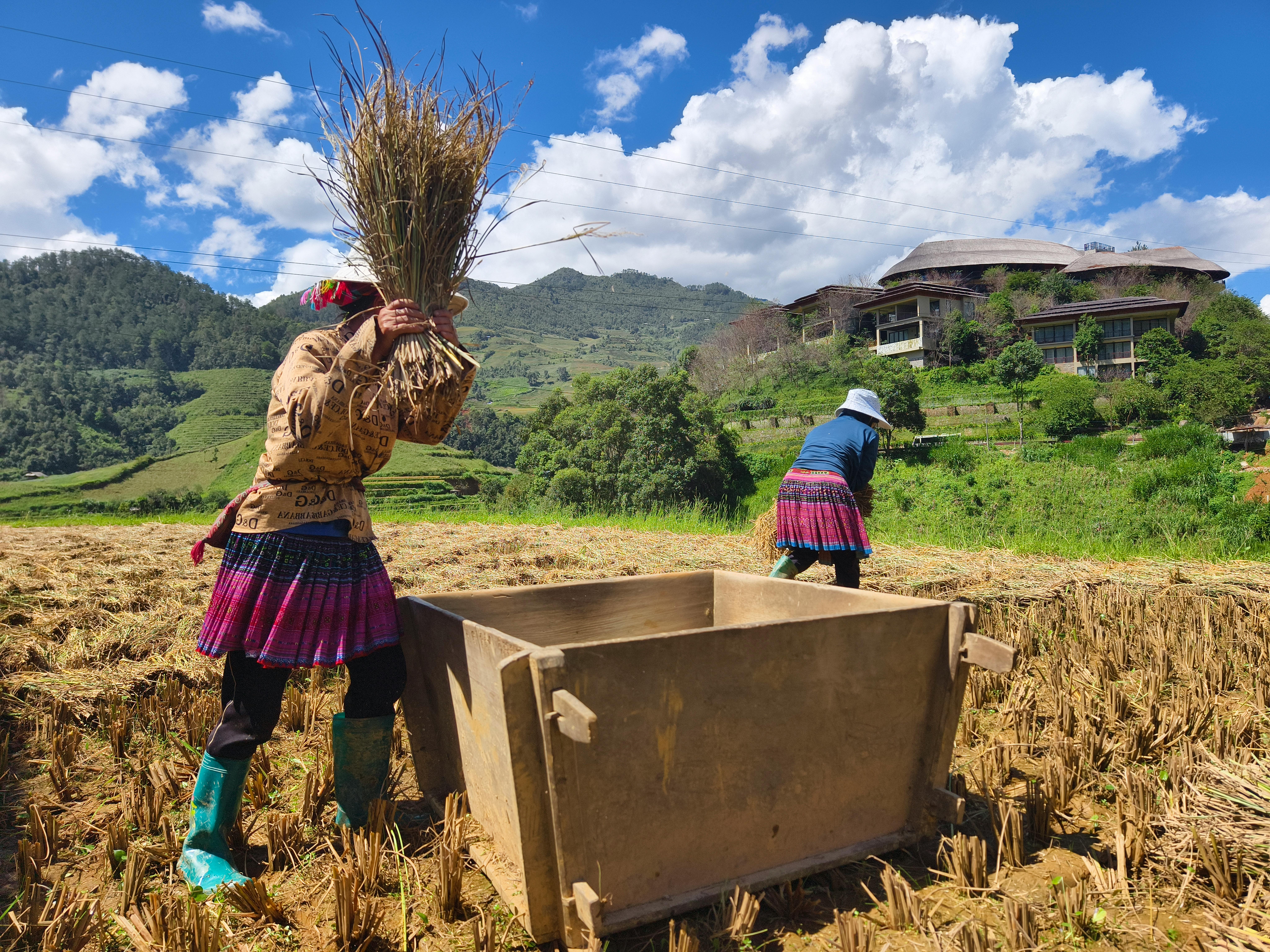 Eco-Friendly Living Tips and Surprising Benefits