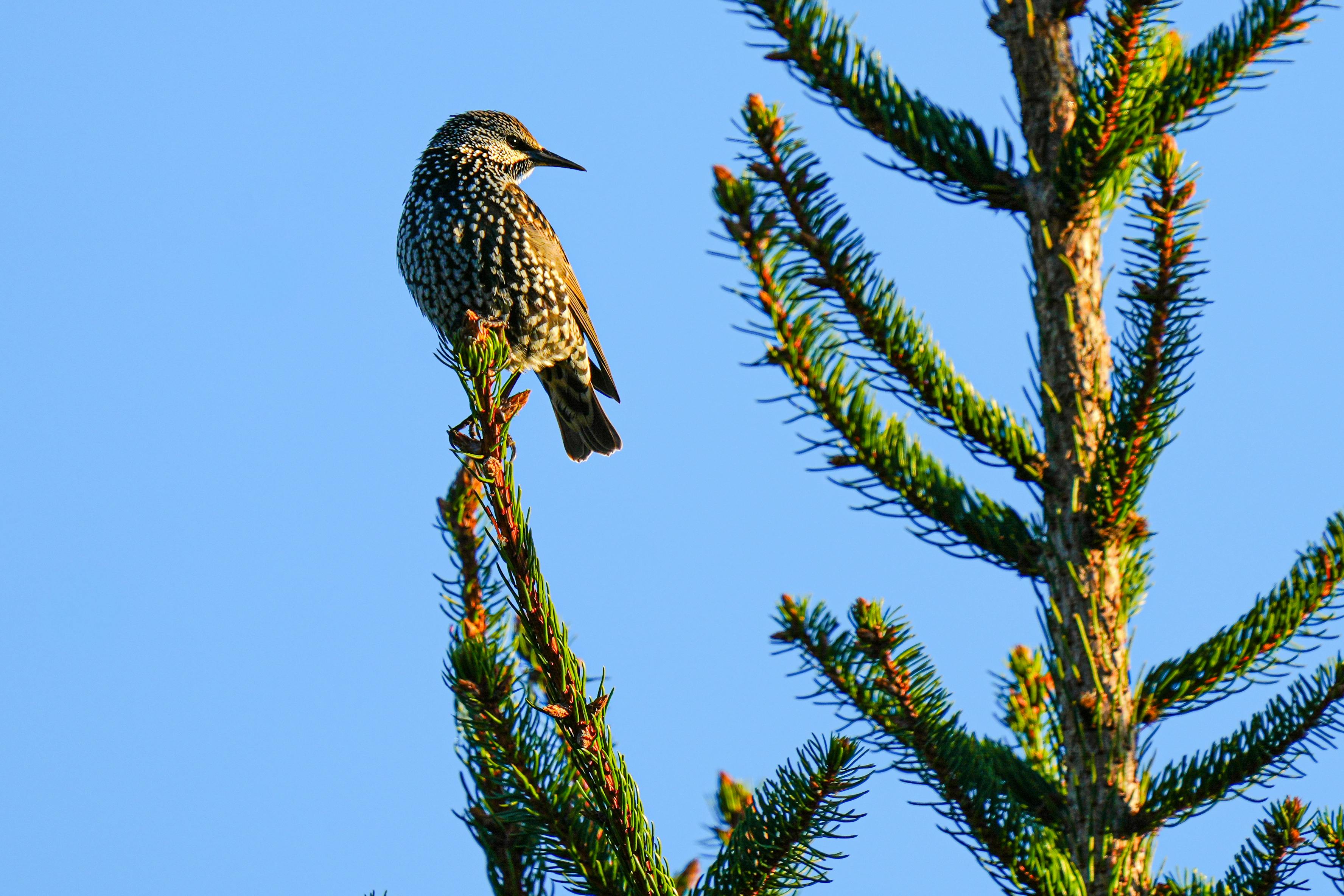 財經：渣打銀行看好恒指 12 個月目標價達 29500 點