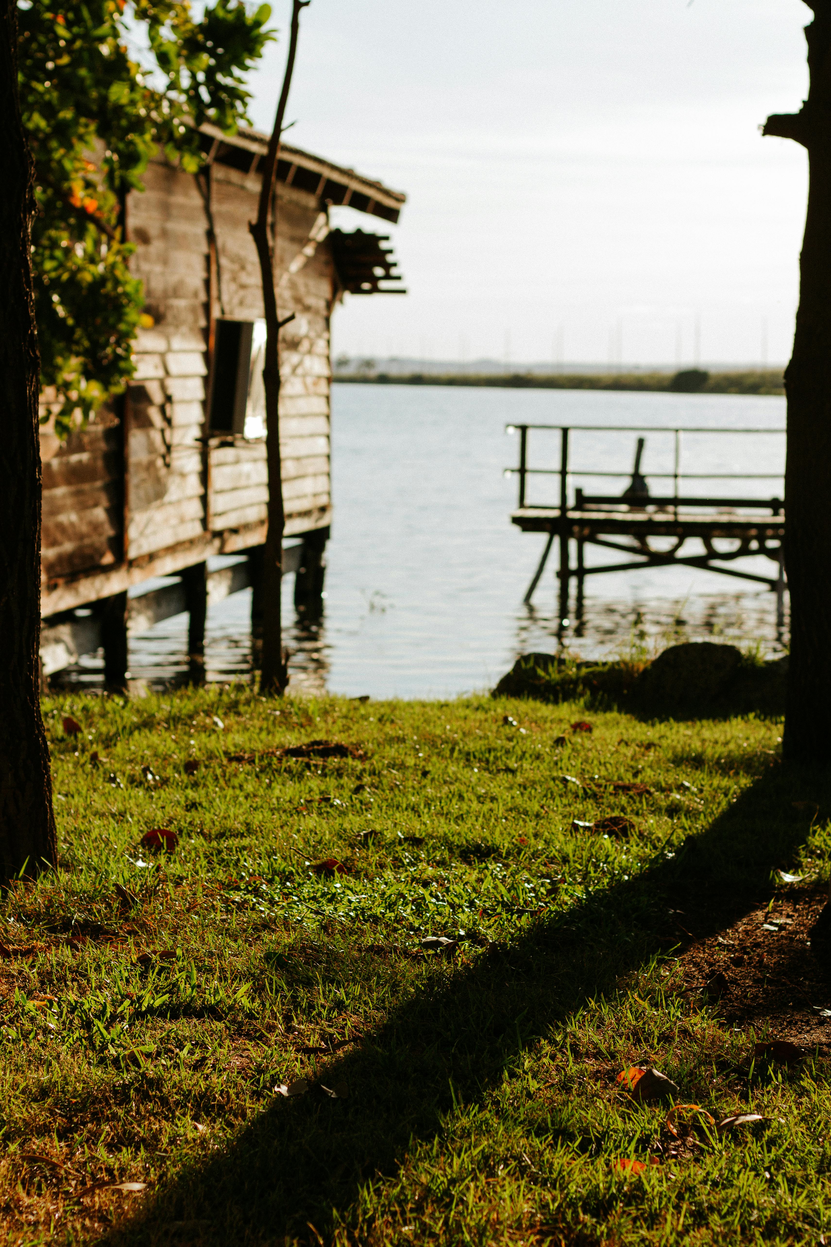 宁静湖畔的木制小屋，被大自然包围