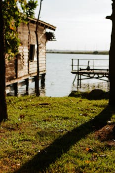 宁静湖畔的木制小屋，被大自然包围