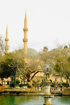 拥有喷泉和树木的大清真寺，其美丽的景色展示了历史建筑和文化的魅力
