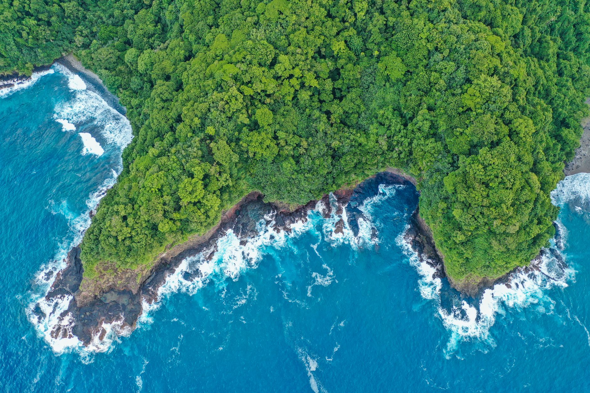 Discover the vibrant coastline of American Samoa with lush forests and turquoise waters in this stunning aerial view.