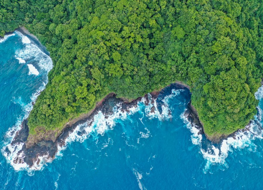 Discover the vibrant coastline of American Samoa with lush forests and turquoise waters in this stunning aerial view.