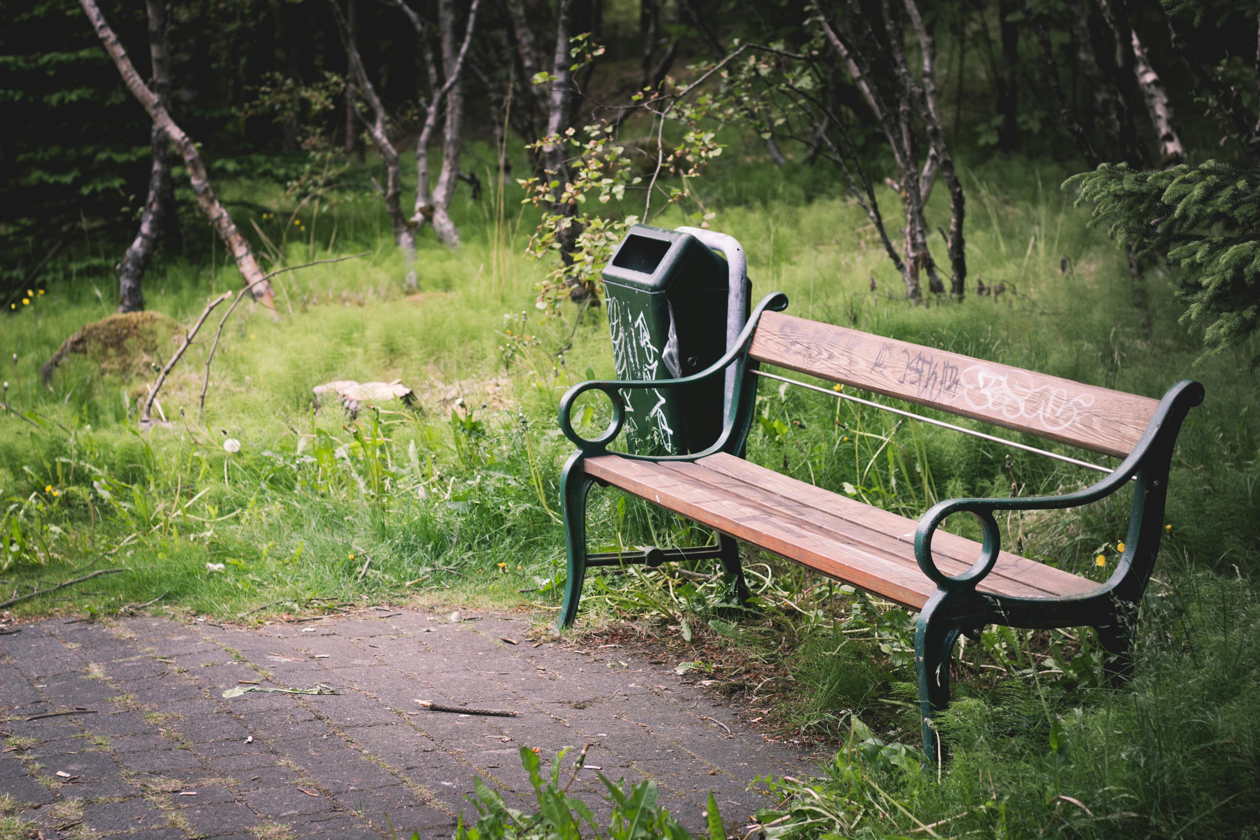 Banco en un parque bajo árboles — la naturaleza y la calma reducen el estrés
