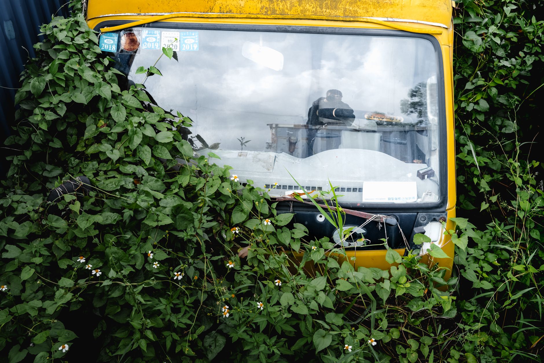 An abandoned vehicle entangled with greenery in Guangzhou, China, showcasing urban decay.