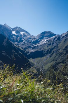 好的，我会根据您的要求进行文本的优化
