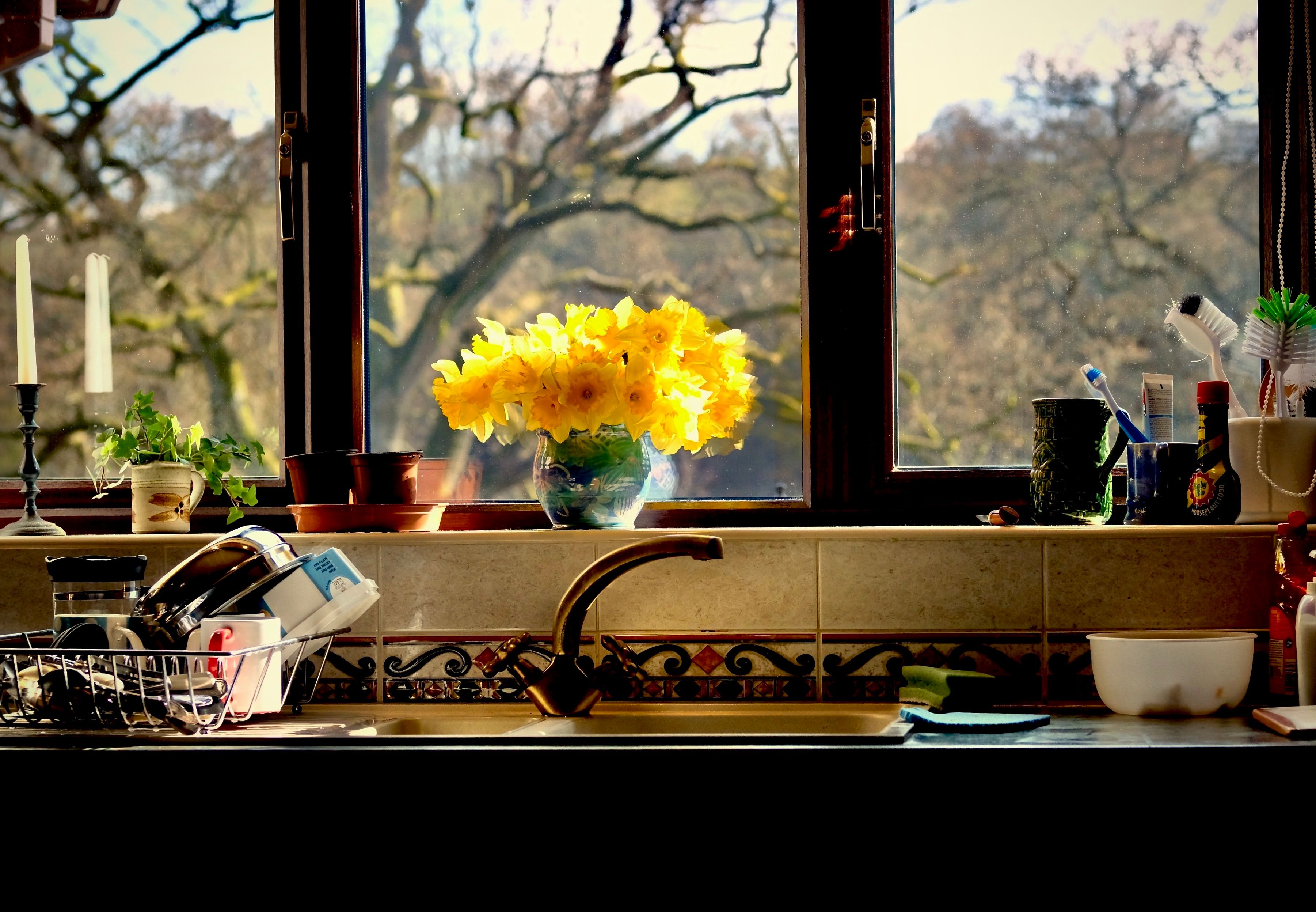 Sunny kitchen window scene featuring vibrant yellow daffodils and kitchen essentials.