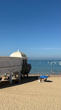 好的，请提供您希望我进行优化的句子