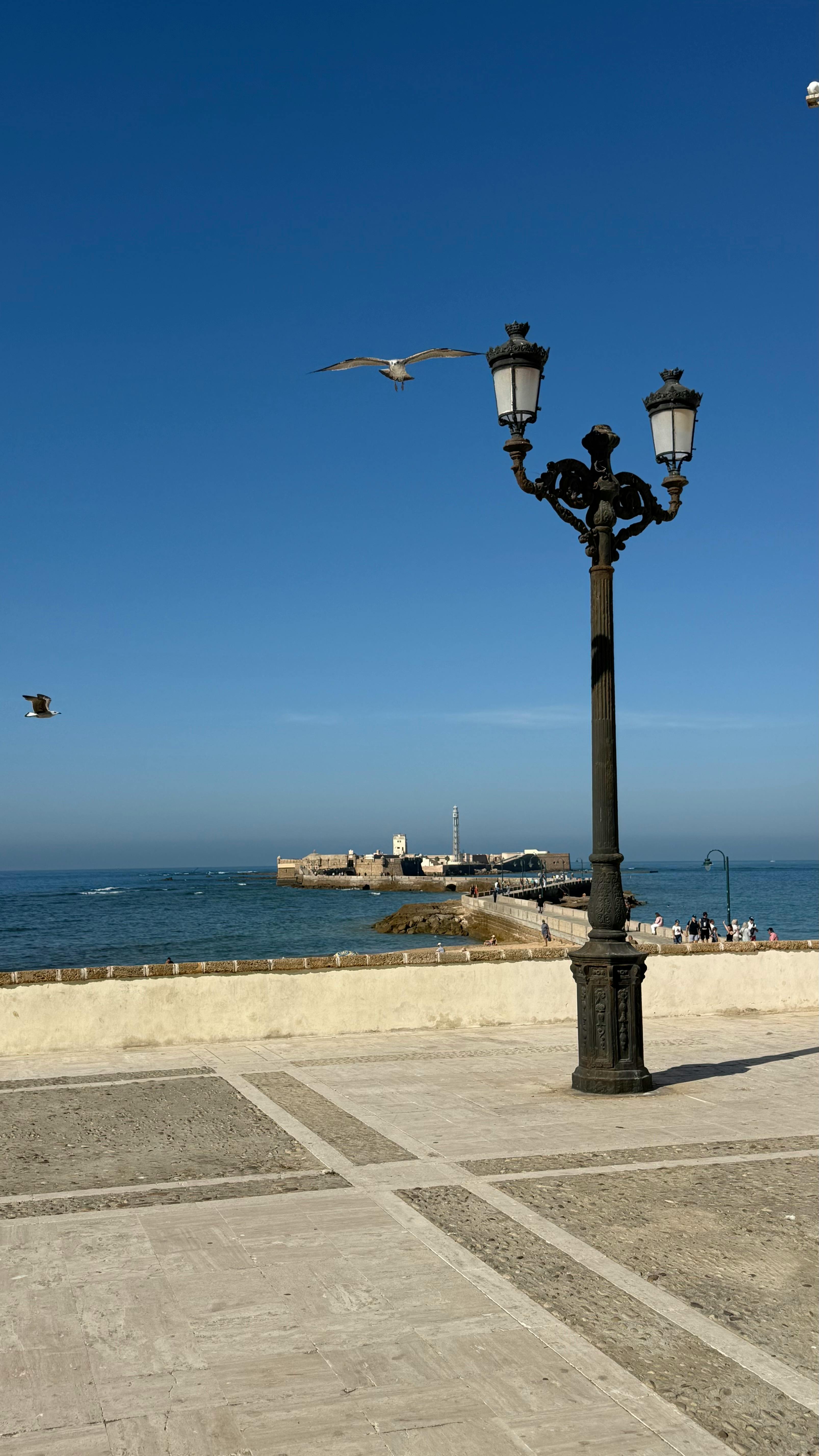 您提供的信息较少，无法进行优化