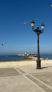 您提供的信息较少，无法进行优化