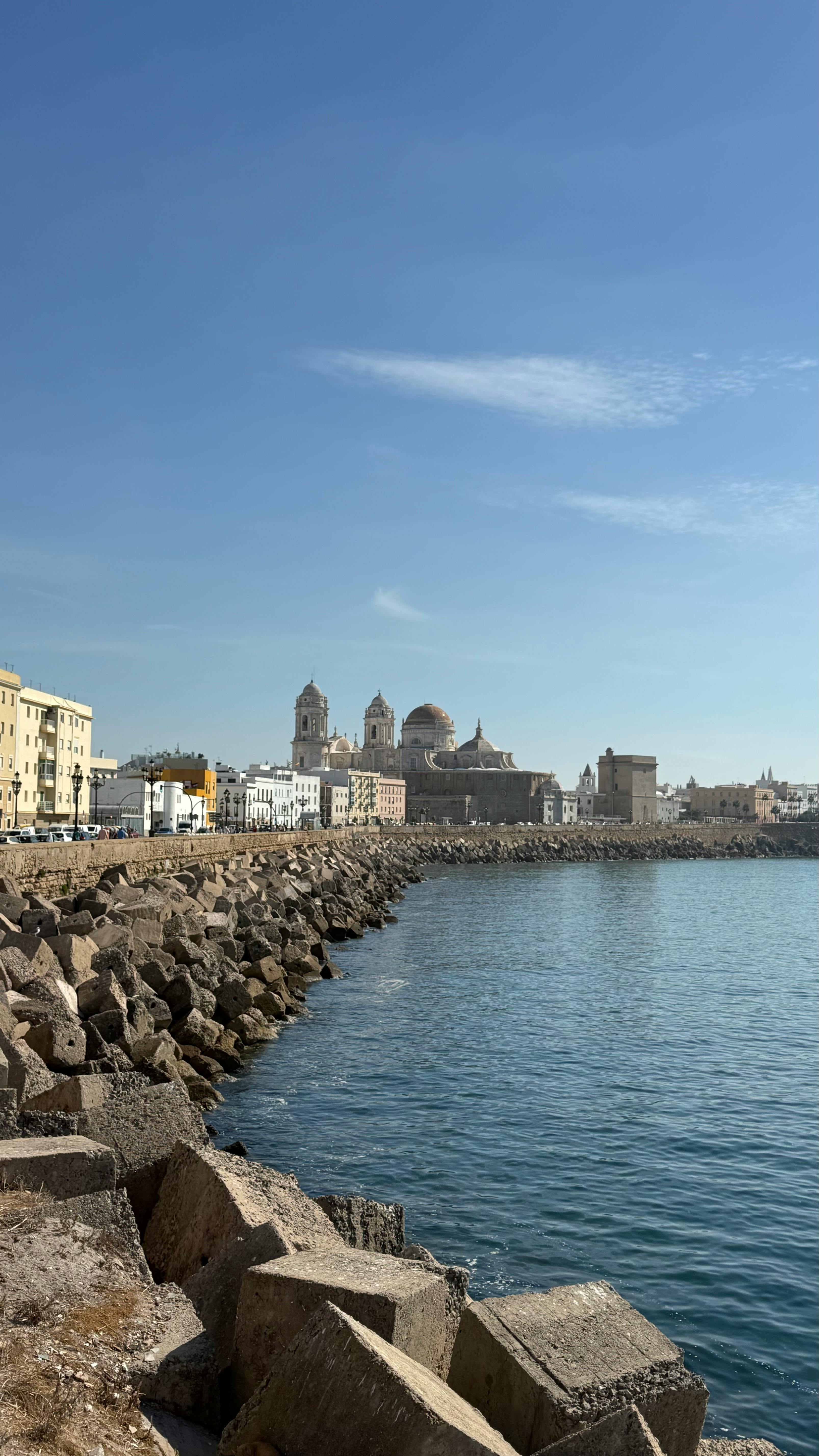 原句：
你是一名专业的文本编辑，擅长纠正由其他语言直译成中文时产生的不自然语序