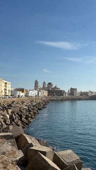 原句：
你是一名专业的文本编辑，擅长纠正由其他语言直译成中文时产生的不自然语序