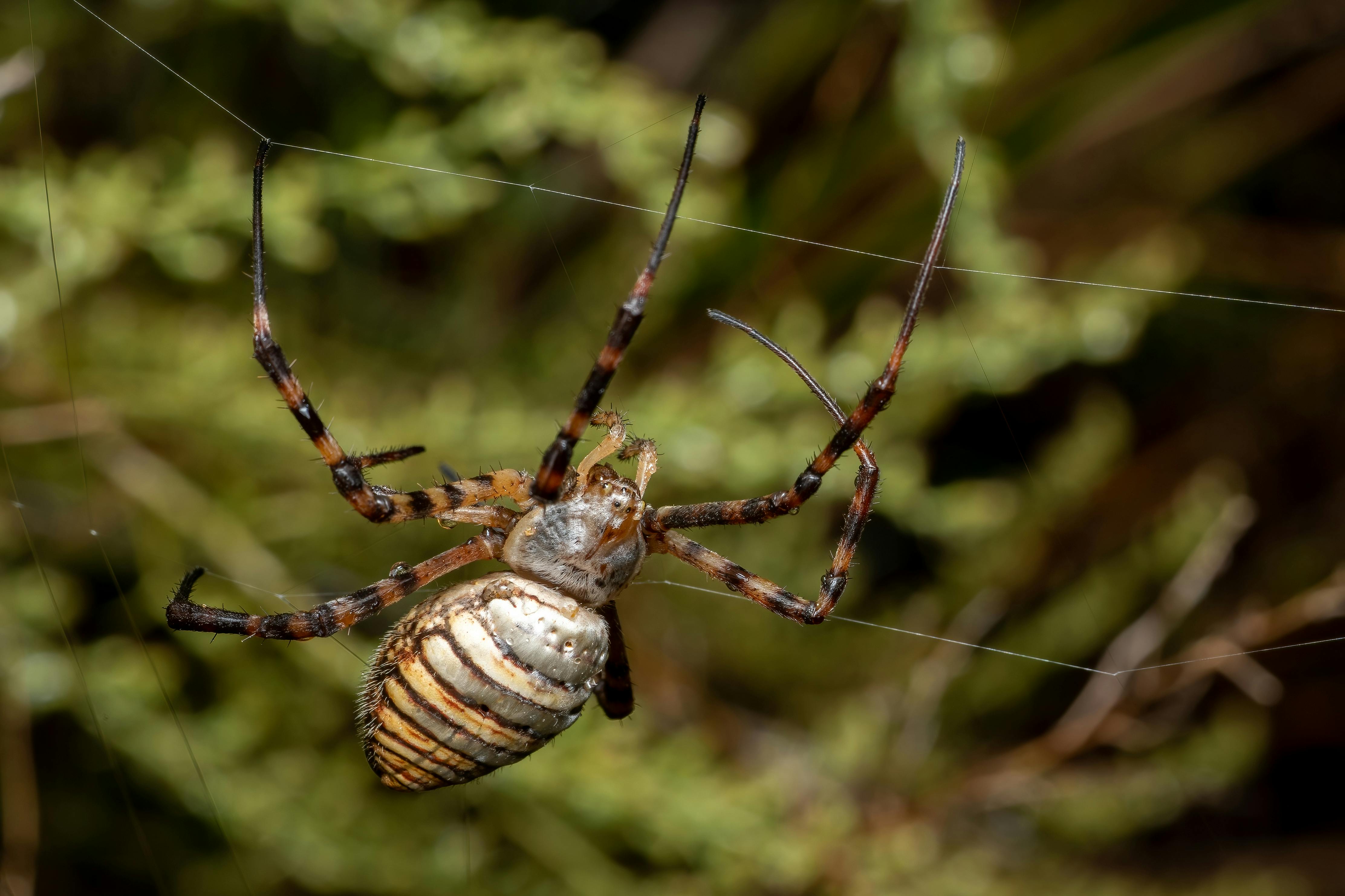 94.713+ Fotos y Imágenes de Code lock screen wallpaper Gratis · Banco ...