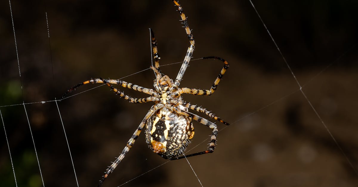 財經:渣打銀行看好恒指 12 個月目標價達 29500 點