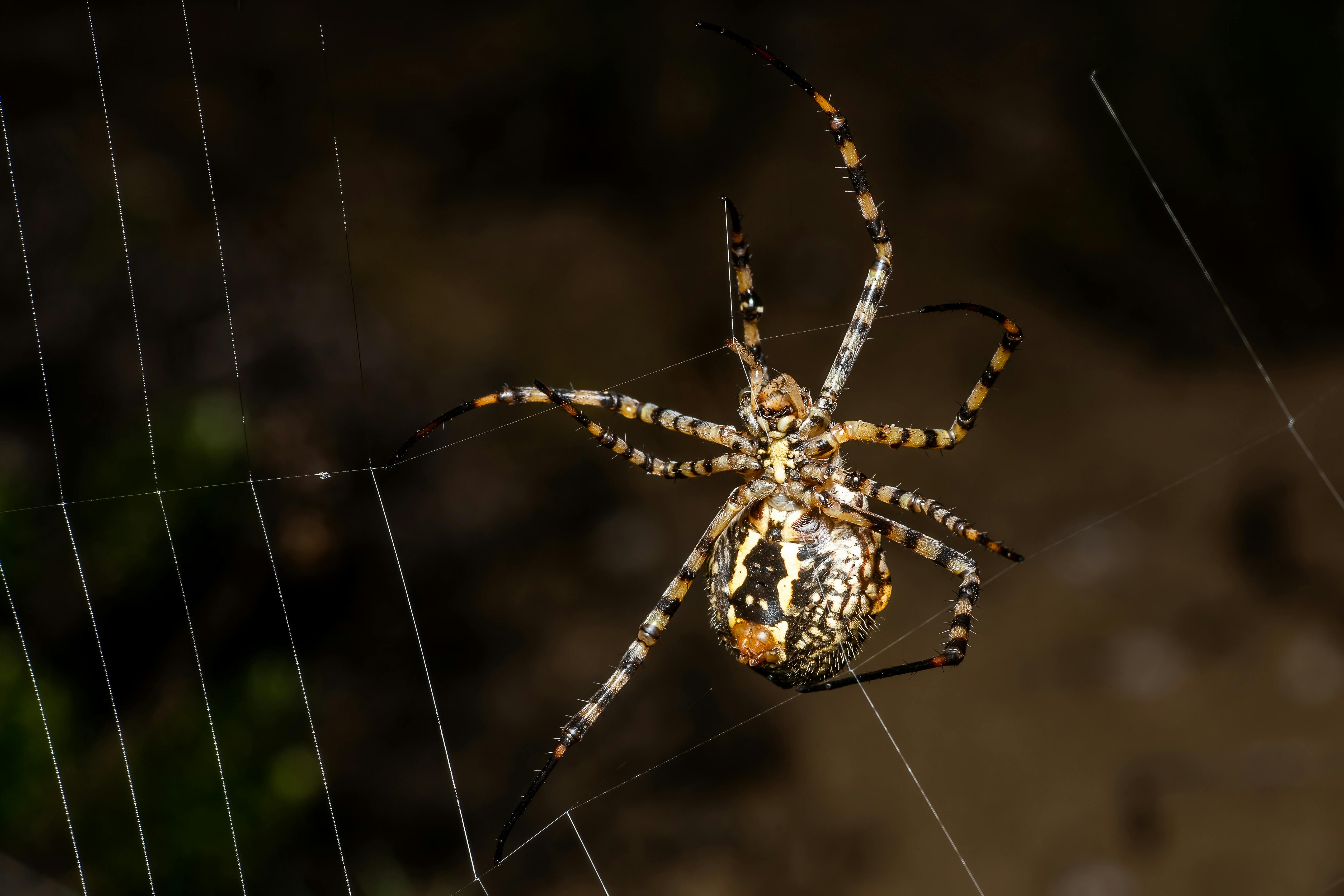 94.713+ Fotos y Imágenes de Code lock screen wallpaper Gratis · Banco ...