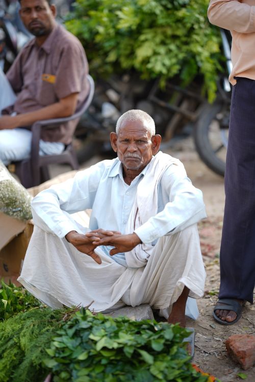 Free Candid photo of an elderly man sitting at a market stall with fresh green leaves. Stock Photo