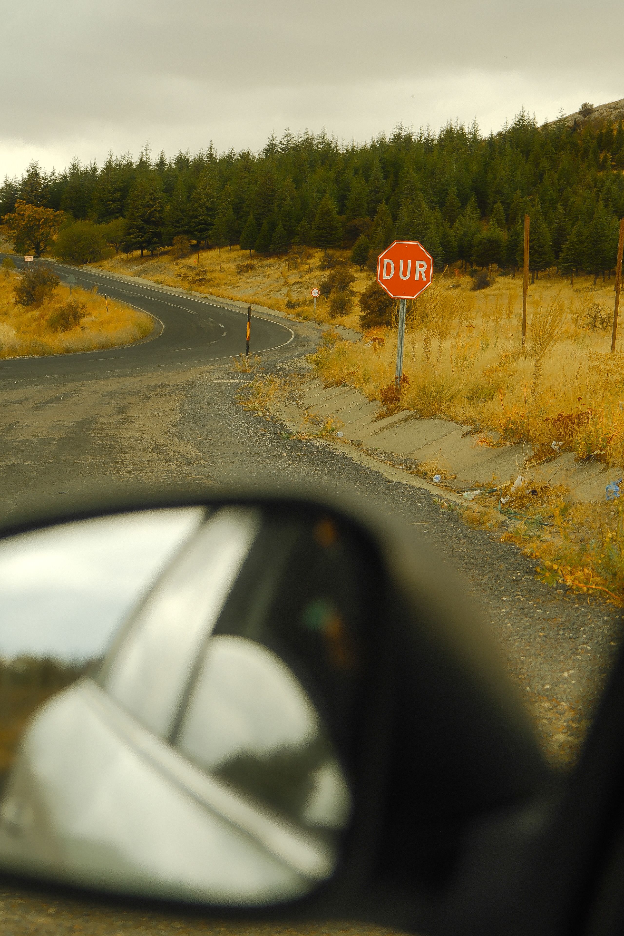Quiet rural road winding through forested area with Turkish stop sign in view.