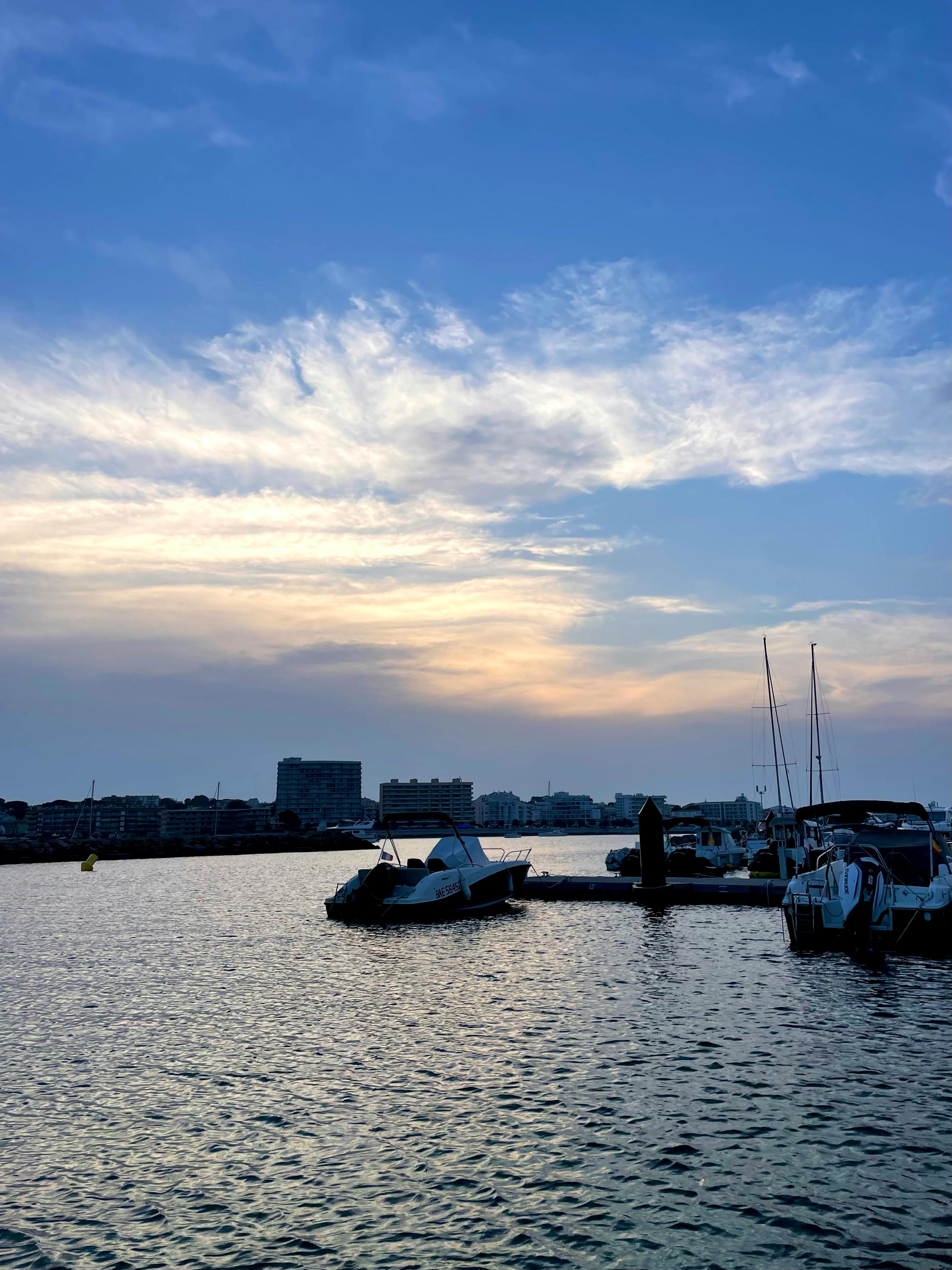 好的，我会按照您的要求对您提供的句子进行优化