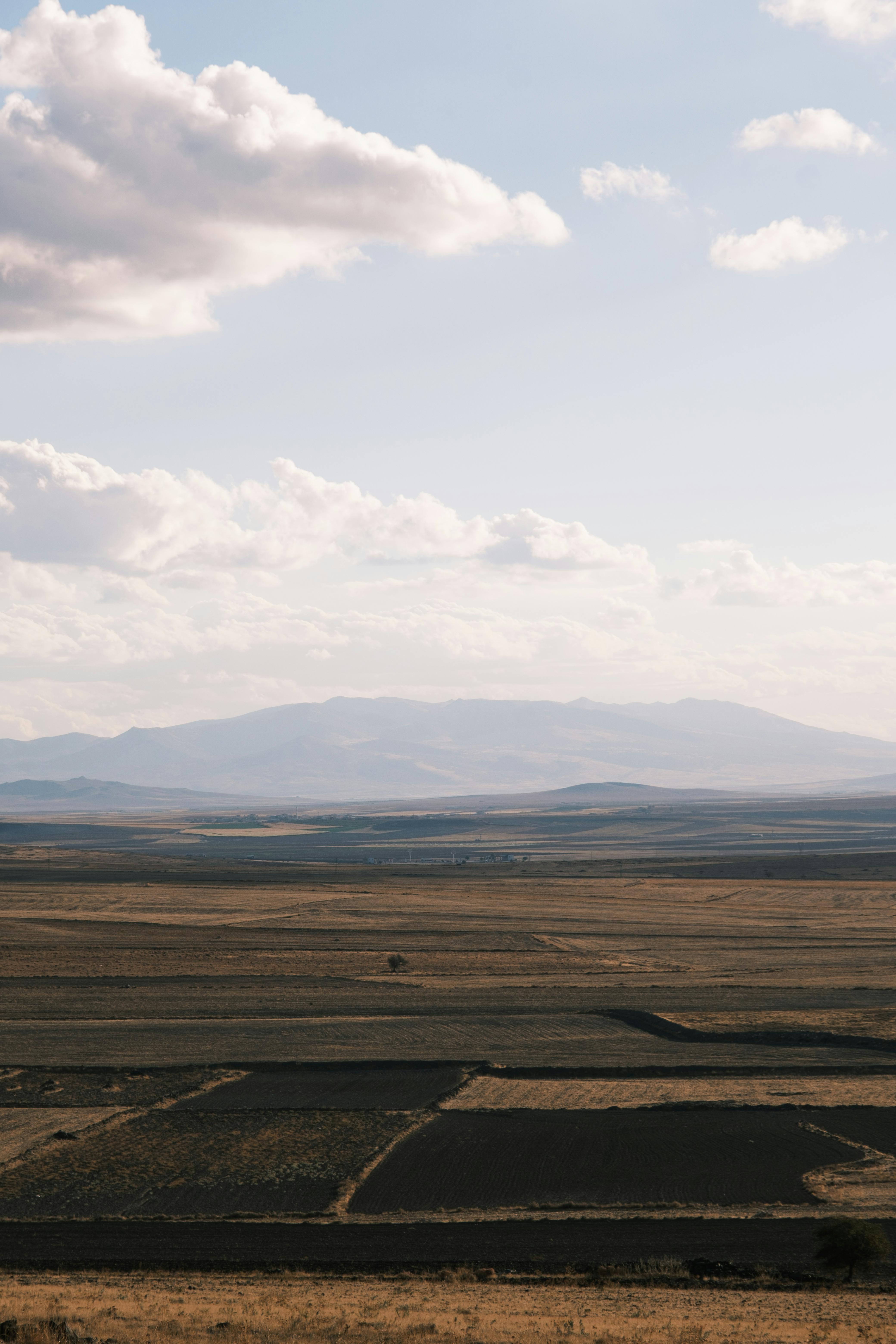 在白天，广阔的景观中有着宁静而美丽的景色