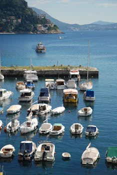 您的请求未提供具体的句子内容，请提供一个句子以便我进行优化