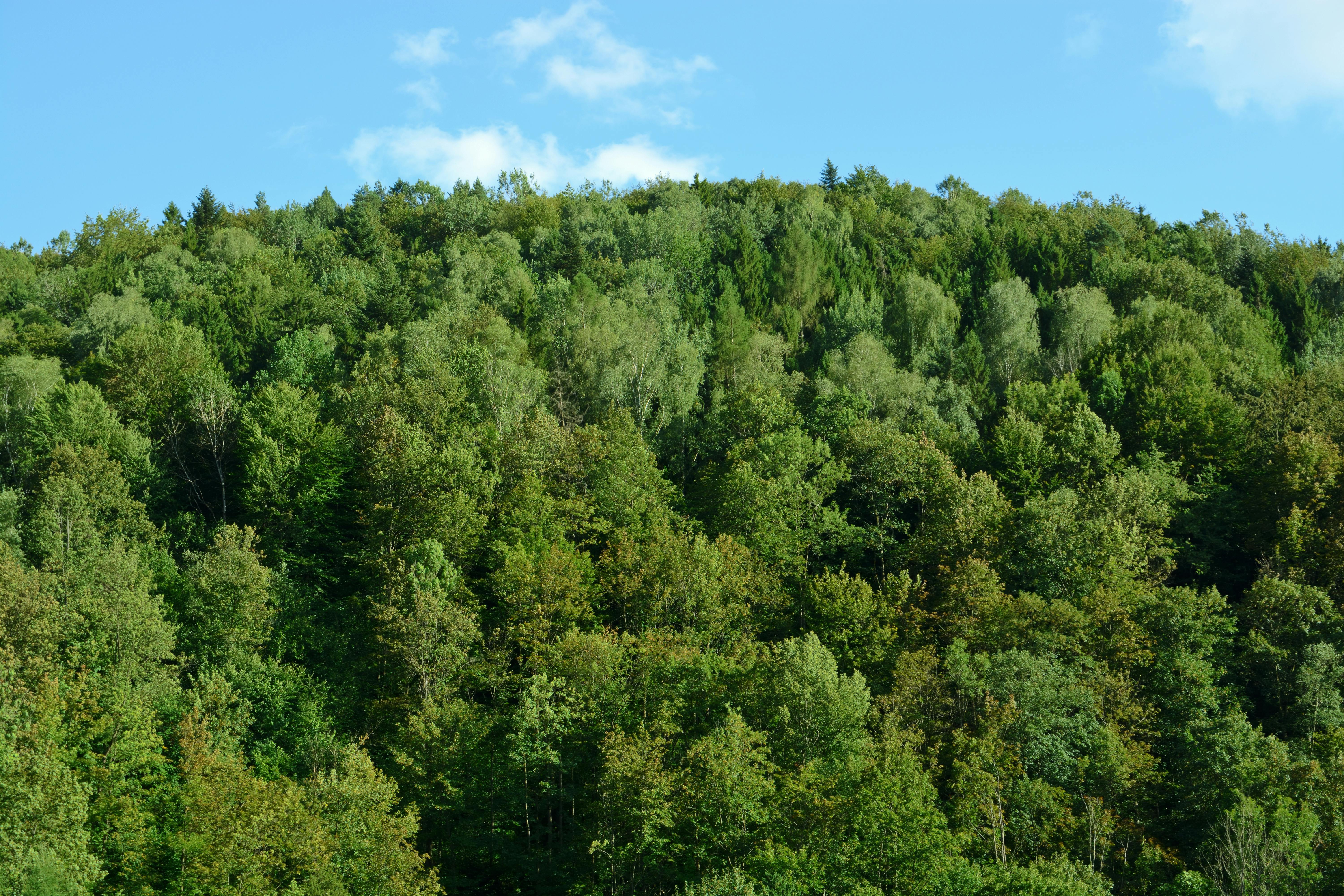 好的，我会按照您的要求进行优化