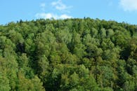 好的，我会按照您的要求进行优化