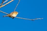 好的，请提供您需要优化的句子