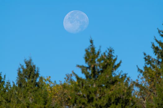 您的请求未包含任何需要优化的句子，因此我无法进行相应的修改