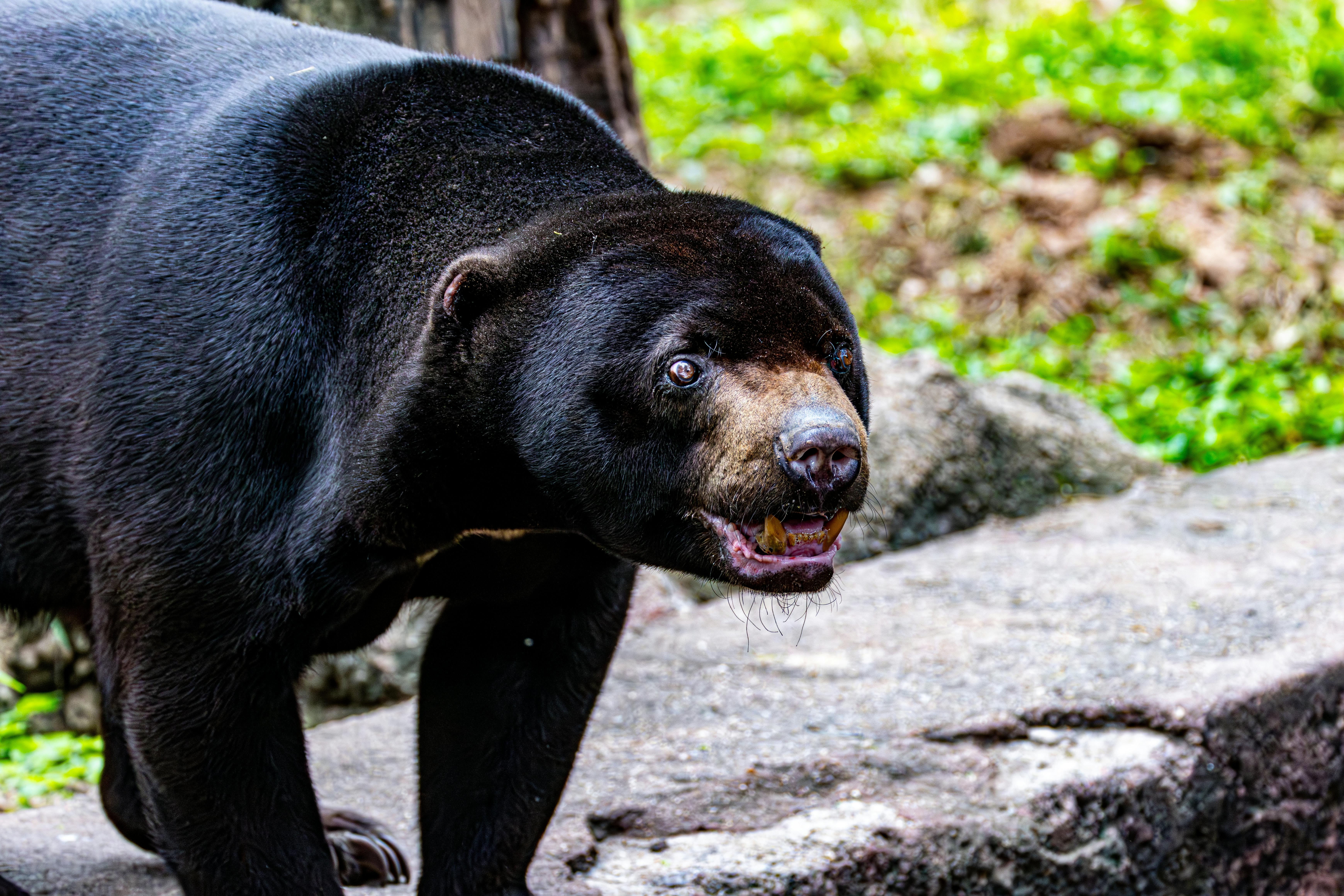 Legendary Worlds Beyond Our Reality and Top Mythical Realms
