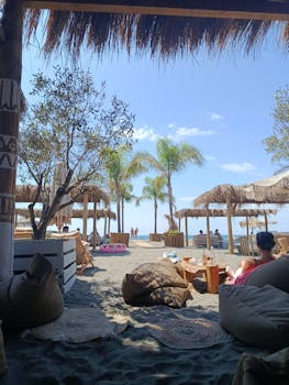 您没有提供需要我优化的句子，请提供一句文本，以便我能帮助您进行语言调整